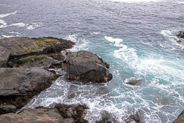 Chili ocean pacifique pélican nature