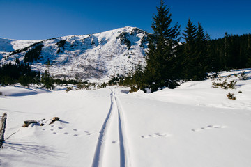 Tracks of skis on the backdrop of winter mountains
