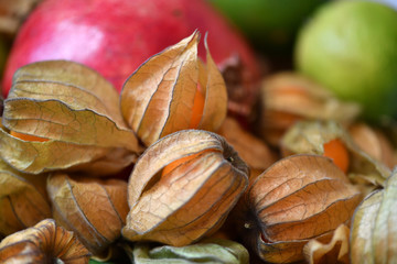 Fruit basket with physalis, lemon and pomegranate