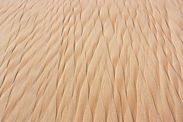 Background from fine sand.