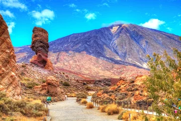 Poster Teide volcanic mountain and famous Roques de Garcia in National Park of Tenerife, Spain © cristianbalate
