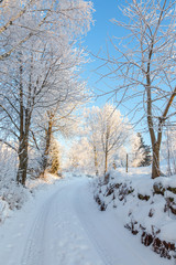 Obraz premium Idyllic winter landscape with a road
