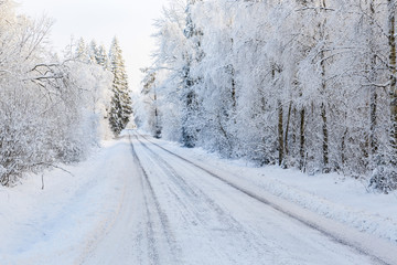 Winter road in a woodland with snow and frost