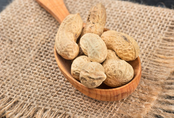 Peanut in shell in spoon