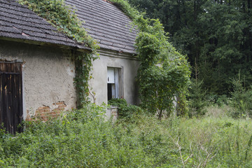 Fototapeta premium old houses