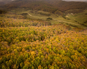 Obraz premium Autumn is here