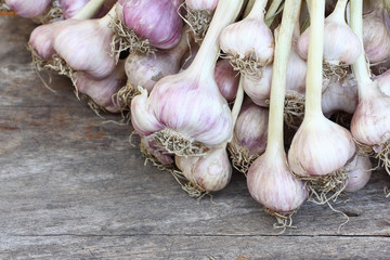 garlic on wood