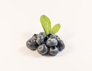 blueberries isolated on a white background