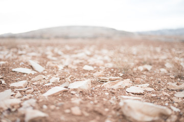 dry field before sowing