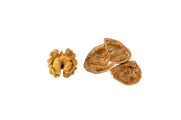 nut and shell isolated on white background