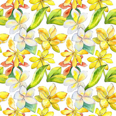 Wildflower gardenia flower pattern in a watercolor style. Full name of the plant: gardenia. Aquarelle wild flower for background, texture, wrapper pattern, frame or border.