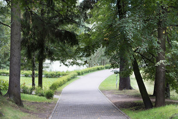 walkpath along the trees at the park