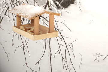 A bird feeder hangs on a tree on a snowy winter day. House for forest dwellers.
