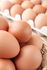fresh chicken egg on wooden background