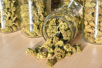 Dry and trimmed cannabis buds stored in a glas jars. Medical cannabis - obrazy, fototapety, plakaty