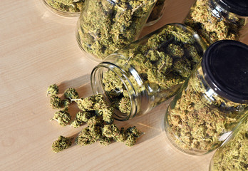 Dry and trimmed cannabis buds stored in a glas jars. Medical cannabis