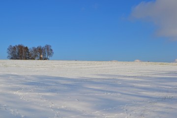 Lonely winter snowy white and blue  idyllic landscape