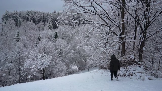 Man goes in deep snow to forest - (4K)