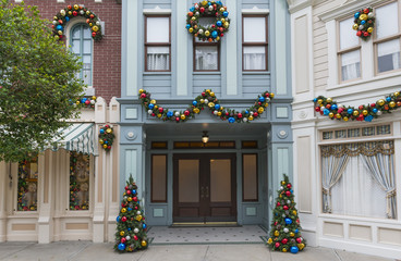 Front door with Christmas theme decoration