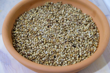 dried seeds of the coriander Indian