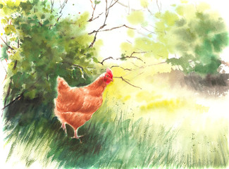 Handwork watercolor illustration. Rural landscape with chicken. . - 183188113