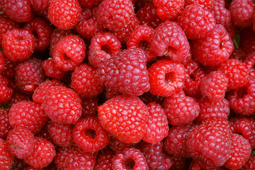 Close up of rasperries