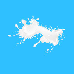 Vector of milk splash. Splash of milk on blue background.