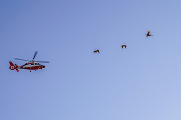 Pacific Ocean Coast, pelicans and helicopter fly in the sky at sunset San Francisco California
