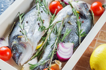 Fresh uncooked fish Dorado with lemon, rosemary and spices in baking tray.