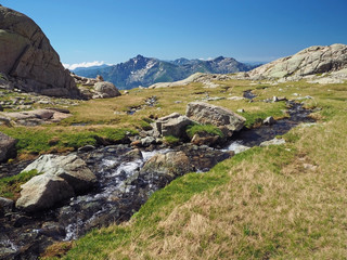 Obraz premium summer scenery of high snow covered mountain corsician alpes with beatiful mountain stream spring on green meadow and rocks boulders with blue sky background