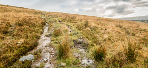 Nature scene of the Northern English moors © miketea88