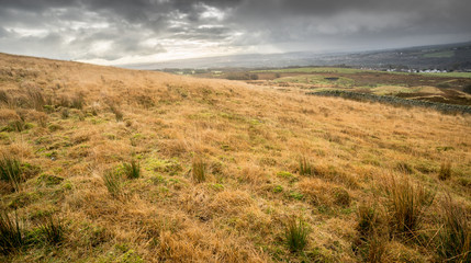 Nature scene of the Northern English moors