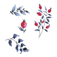 Set of grey indigo and pink berries isolated on white background. Hand drawn vector watercolor illustration.