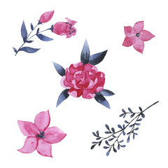 Set of grey indigo and pink flowers isolated on white background. Hand drawn watercolor vector illustration.