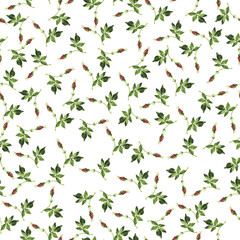 Fototapeta na wymiar Seamless pattern with wild rose pink buds and leaves on white background. Hand drawn watercolor illustration.