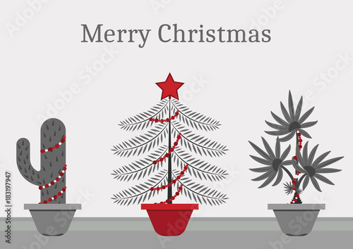 in a christmas time every plant is a christmas tree a cactus spruce and - Cactus Christmas Decorations in a christmas time every plant is a christmas tree a cactus spruce and - Cactus Christmas Decorations