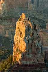 Scenic North Rim Grand Canyon Landscape