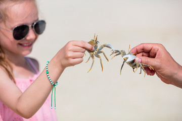 Little girl holding a crab