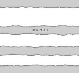 Torn Paper Picture Design Vector Illustration