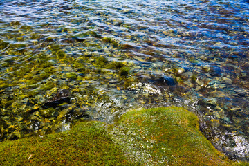 Clear water of lake Hovsgol, Mongolia, August 2017.