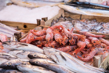Seafood at traditional fish market in Palermo, Italy.