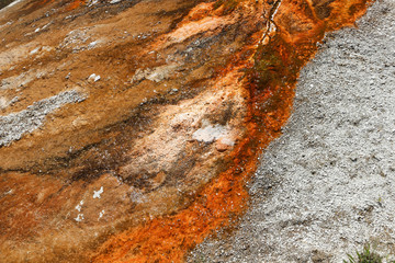 Stained Geyser Crust