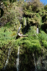 monasterio de piedra, Zaragoza, Spain 