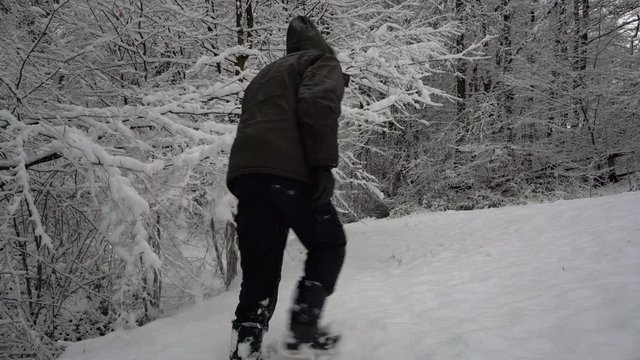 Man shake snow from tree - (4K)