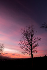 Colorful sunset over a field foreground