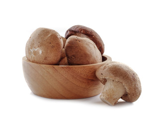 Shiitake mushroom isolated on white background