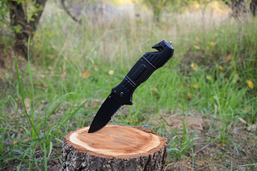 A black handle penknife is sticking out of the stump.