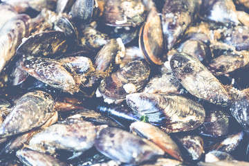 Seafood at traditional fish market in Palermo, Italy.
