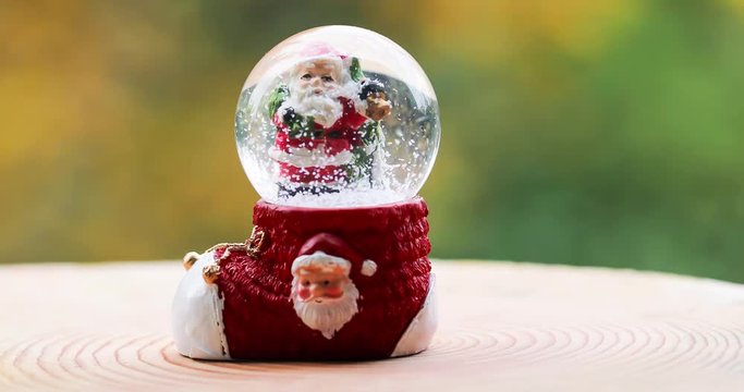 Christmas Snow Globe Snowflake