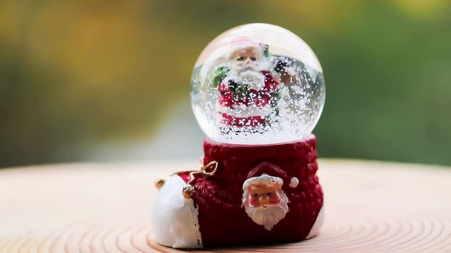 Christmas Snow Globe Snowflake